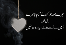 Love Quotes In Urdu 2024