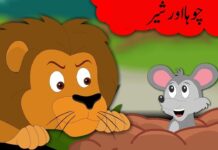 چوہا اور شیر
