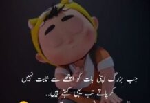 Deep Funny Quotes In Urdu