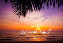Life Quotes In Urdu