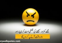 Funny Attitude Quotes In Urdu