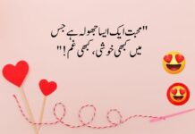 Funny Love Quotes In Urdu