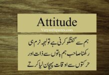 Attitude Quotes In Urdu Text