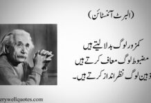 Albert Einstein Quotes In Urdu