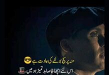 Attitude Quotes Dps For Boy