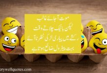 Best Funny Quotes In Urdu