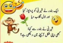Funny Jokes In Urdu