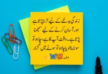 Motivational Quotes About Life in Urdu