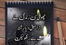 2 Lines Motivational Poetry In Urdu