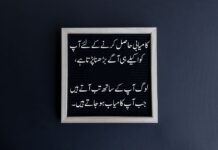 Motivational Quotes In Urdu For Students