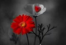 130+Islamic Quotes In Urdu One Lines