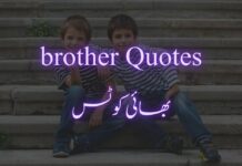 Best Brother Poetry In Urdu