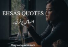 250+Ehsas Quotes Best Ehsas Poetry In Urdu